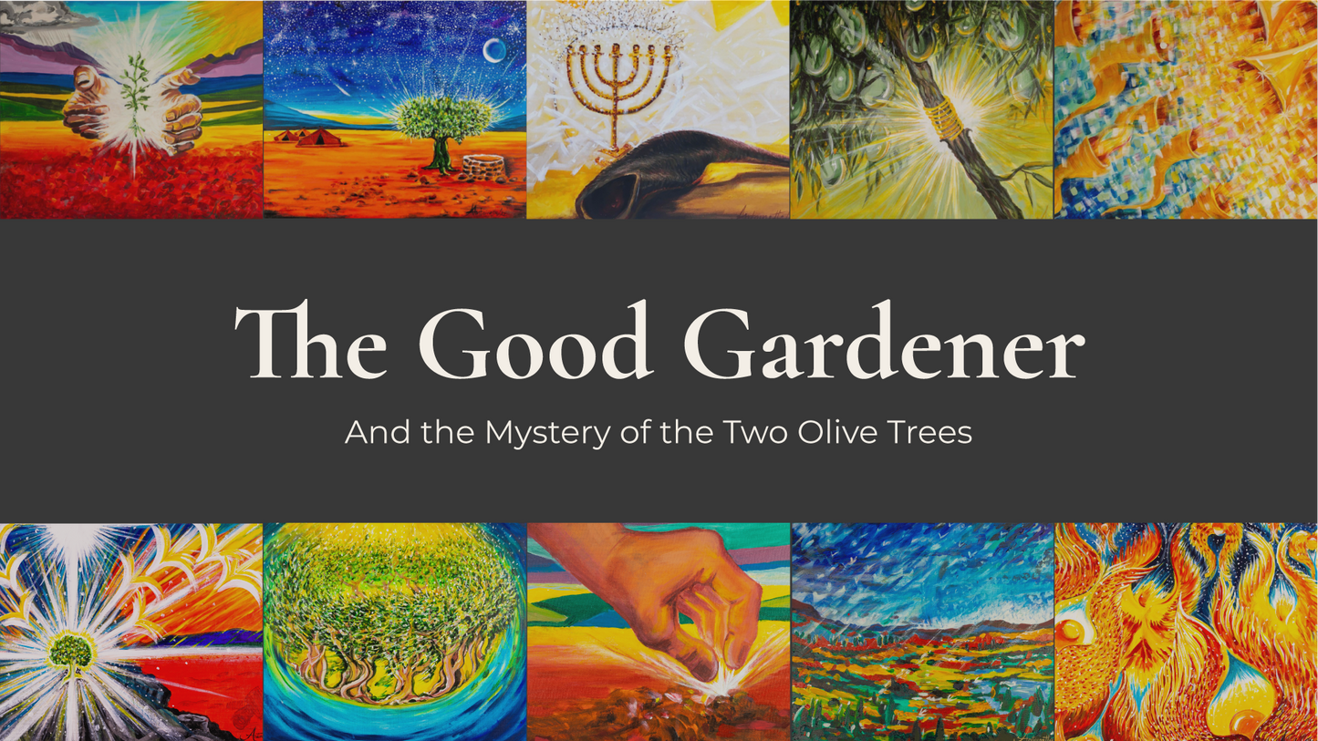 The Good Gardener Video Rental